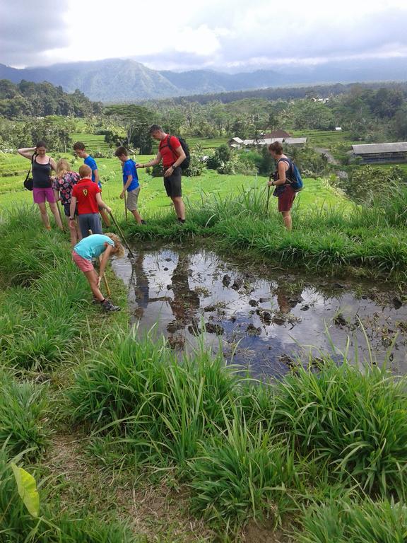 Pondok Lembah Dukuh Homestay Karangasem Εξωτερικό φωτογραφία